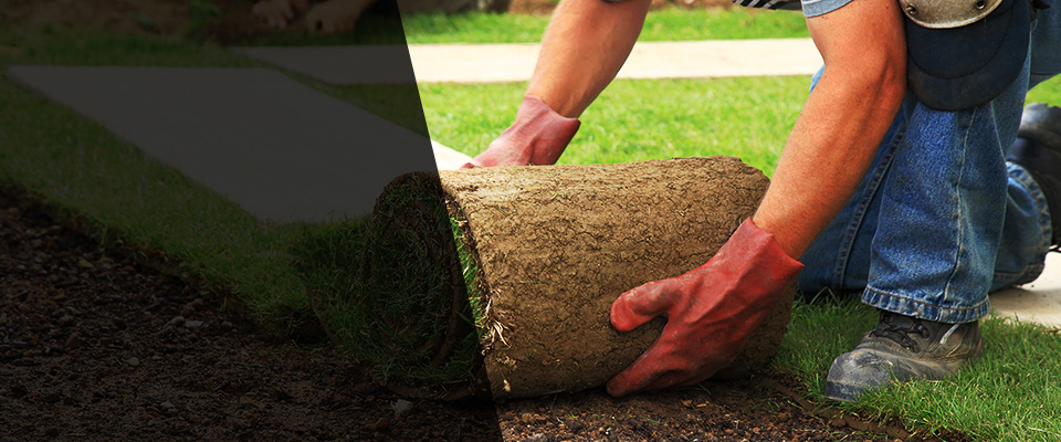 Springdale Landscapers